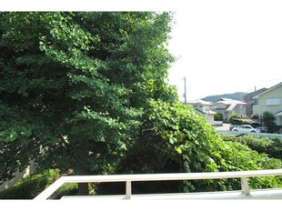 テクノハイム本宿　桜の棟の物件内観写真
